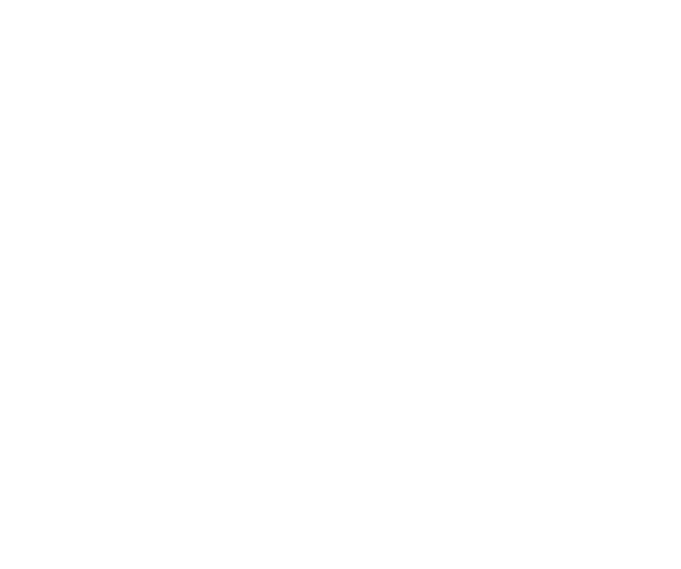 QPLIX