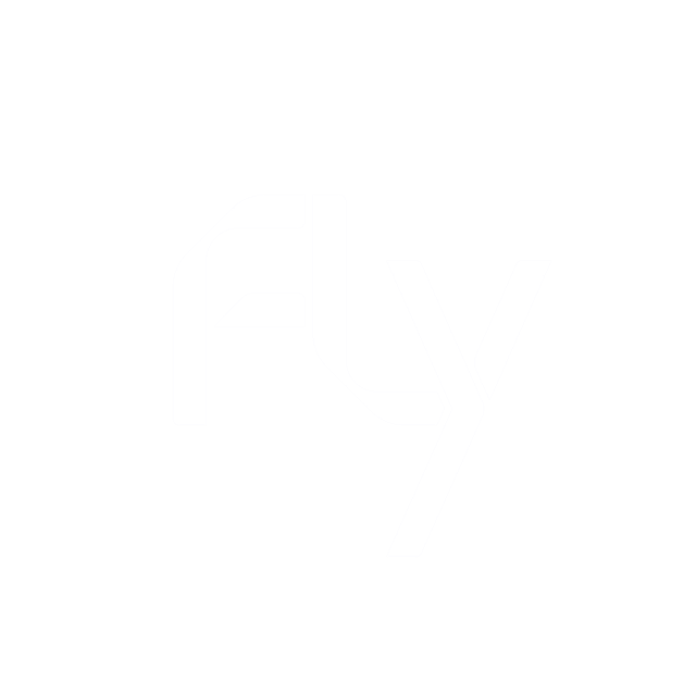 Fly
